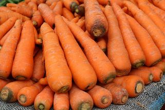 Zrádné černé skvrny na mrkvi. Odkrojení nestačí, prevence začíná už vybalením nákupu