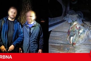 Cizinci pytlačili v noci u rybníka. Tvrdili, že jen relaxují s pivem na lehátkách a k prutům se neznali