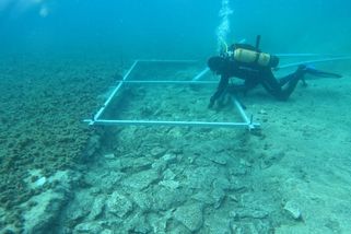 Archeologové objevili v Chorvatsku podmořskou kamennou cestu starou téměř 7000 let - Novinky