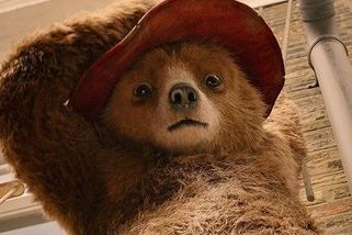 Snímek NASA zachytil na povrchu Marsu podobu medvídka Paddingtona - Novinky