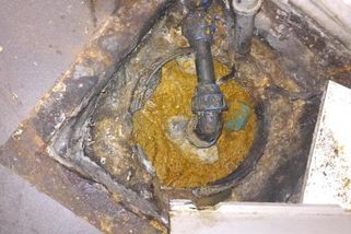 Inspekce zavřela restauraci na pražských Vinohradech. Snímky mluví za vše - Novinky