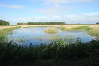 Eurokomisařka: Příroda u hranic může sloužit jako přirozená obrana před invazí