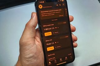 Policie při mezinárodní akci usekla hadovi hlavu. Největší zločinecká organizace na krádeže to schytala