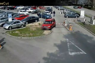 Řidiči v Břeclavi si oblíbili zkratky. Jejich divočinky natočily kamery | Novinky.cz: Domácí