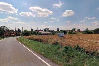 Stádo oslů se procházelo po silnici na Českobudějovicku. My poradu nesvolali, vtipkoval oznamovatel - Novinky