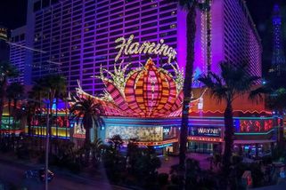 Polonahý turista v Las Vegas unesl živého plameňáka a pak mu ubližoval v hotelovém pokoji - Novinky