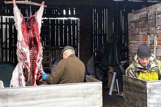 Kančí guláš a prdelačka. V Dolních Marklovicích slavili svátek zabijačkou