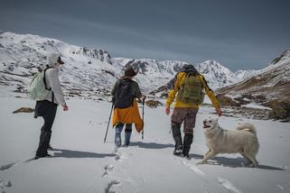 Pes přežil devět dní v zasněžených horách, ve výšce 1900 metrů jej zachránili turisté - Novinky