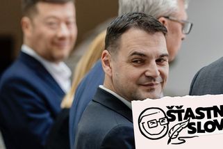 „Podle svého nejlepšího svědomí hlasuji, jak mi řeknete.“ Nová koalice startuje - Seznam Zprávy