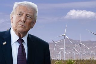 Trump jde tvrdě po větrných farmách. USA zaplatí miliardu dolarů za jejich konec