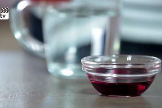 Jak na přemnožené vosy? Vyrobte si past podle jednoduchého videonávodu. Nic nestojí a vážně funguje! | Archiv