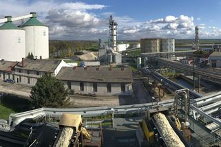 Dovozy cukru z Ukrajiny rostou, největší cukrovar hledá nové trhy - Seznam Zprávy