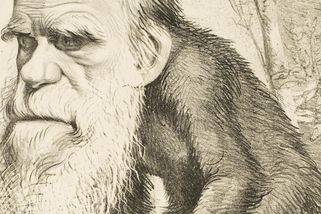 Pravděpodobnost vzniku života náhodou se blíží nule - Médium.cz