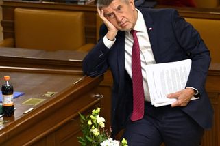 Babiš: Nemůžu říct, že stojíme za Grónskem