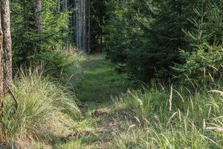 Mrazivé detaily smrti Jarouška: Ležel mrtvý na louce, matka se zhroutila, prý ho tam někdo zavlekl – eXtra.cz