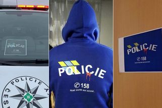 Lidé ušetřili. Přes 5000 policistů na protest řešilo přestupky místo pokut domluvou - Novinky