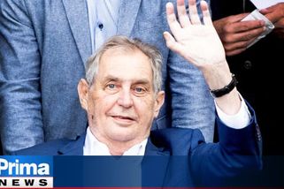 Hrad zažaloval Stehlíkovou. Za výroky o prezidentově zdraví chce omluvu a milion