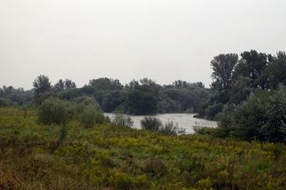 Kvůli zásahům na řece Olši, podala Arnika podnět k prošetření ČIŽP - Ekolist.cz