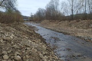 Ekologové žádají, aby se zastavily práce na řece Olši. Hrozí tam ničivější povodně, tvrdí - Novinky
