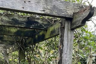 „Slunce ničí víc než déšť,“ říká tesař s 30 lety praxe. Radí kutilům s údržbou venkovních staveb ze dřeva