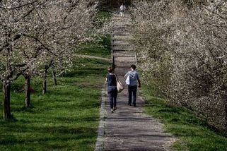 MAPA: Jaro vtrhne do Česka. Teploty strmě vyletí, doprovodí je písek z Afriky