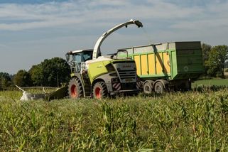 Majitele kukuřičného pole rozsekal kombajn