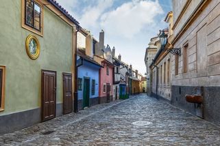 Na Pražském hradě se usadil chráněný druh. Nevadí mu ani miliony turistů