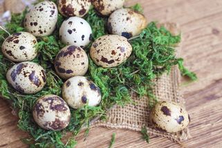 Křepelčí vejce ozdobí stůl nejen na Velikonoce: Jak je správně uvařit a oloupat? - Novinky