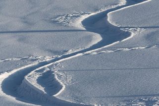 Přepište dějiny! Ester Ledecká nevyhrála olympiádu, přesto máme už druhé olympijské zlato! - Médium.cz