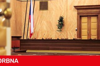 Psycholožka vydávala podle policie za úplatky posudky o způsobilosti