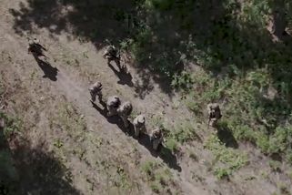 Rusové v Bělgorodské oblasti usekli ukrajinskému vojákovi hlavu a natočili se s ní - Novinky