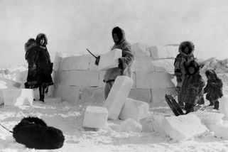 Ne všichni Inuité stavěli iglú, někteří v tom ale byli mistři. Jak se jim tam bydlelo? - Médium.cz