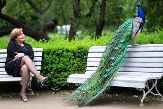 Je běžný člověk schopen utratit 2 miliony za fotky s pávem, ptají se politici - Seznam Zprávy