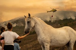 Tenerife stále hoří. Sedm procent území lehlo popelem, hořelo i na Elbě