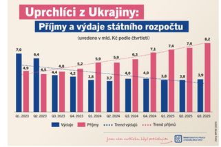 Narativ „na Ukrajince doplácíme“ neodpovídá datům. Zdravotní ani sociální systém není v mínusu