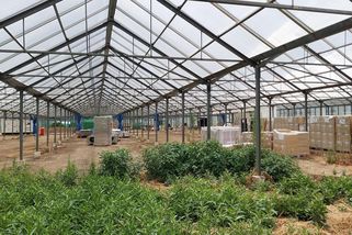 Prodejci dluhopisů Future Farming ovlivňují dění v miliardovém bankrotu - Seznam Zprávy