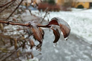 Do Česka dorazí obleva - Novinky