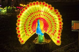 Největší světelná zahrada východních Čech byla drahé zklamání. O 12 km dál je lepší podívaná zdarma - Médium.cz