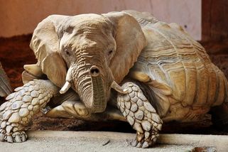 Jak poznat, že vám někdo věší bulíky na nos: Průvodce dezinformační džunglí - Médium.cz