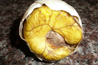 Jen pro otrlé: Nejodpornější potraviny světa – bulvy tuňáka, ptačí exkrementy nebo zkažený sýr s živými červy