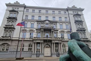 Úřad potrestal ženu za plácnutí osmiletého syna vařečkou po zadku. Bylo to v sebeobraně, hájila se - Novinky