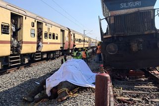 V Indii srazil vlak stádo slonů, sedm zvířat uhynulo - Seznam Zprávy