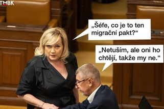 TMBK: Sněmovna řeší migrační pakt. Babiš přišel s jasnou strategií - Seznam Zprávy