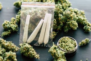 „Větší než malé množství?“ Ústavní soud zrušil část zákona o konopí - Seznam Zprávy