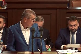 „Proč olizujete zlatokopky?“ Babiš si neodpustil osobní výpad na ministra - Novinky