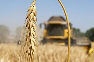 Josef Soukup: Válka ukazuje, jak důležitá je půda a potravinová soběstačnost