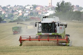 Ukrajinské obilí vzburcovalo zemědělce. Už šest zemí volá po urgentní akci - Seznam Zprávy