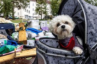 FOTO: Ústecký kraj se chystá na velkou vodu - Novinky