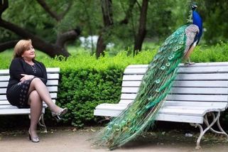 Stanjura se kvůli auditu fotek Schillerové obrátil na dohledový úřad - Novinky