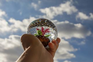 Pokud máte doma retro těžítko po babičce, můžete si výskat. Na aukci se po něm jen zapráší